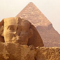Buy canvas prints of Sphinx, Giza by Massimo Lama