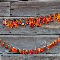 Buy canvas prints of dry chillis by Massimo Lama