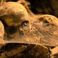 Buy canvas prints of Middle age skulls by Massimo Lama