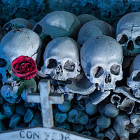 Buy canvas prints of  Fontanel cemetery in Naples, Italy by Massimo Lama