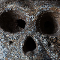 Buy canvas prints of Monkey skull isolated  by Massimo Lama