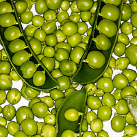 Buy canvas prints of Fresh green peas  by Massimo Lama