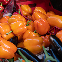 Buy canvas prints of Colored peppers exposed by Massimo Lama