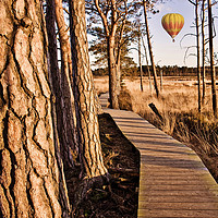 Buy canvas prints of Balloon flight over Thursley Nature Reserve by Julian Paynter