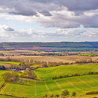 Buy canvas prints of View from Butser Hill in Hampshire by Julian Paynter