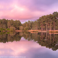 Buy canvas prints of Axe Pond reflections by Julian Paynter