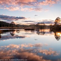 Buy canvas prints of Axe Pond reflections by Julian Paynter