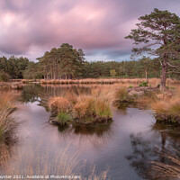 Buy canvas prints of Axe Pond by Julian Paynter