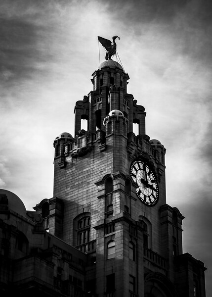 Liverbird's Gaze over Mersey Picture Board by Kevin Elias