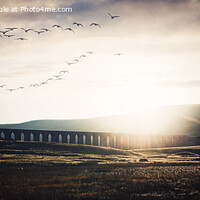 Buy canvas prints of Ribblehead viaduct by Kevin Elias