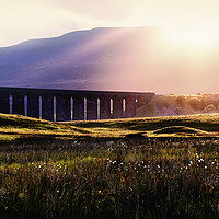 Buy canvas prints of ribblehead sunset by Kevin Elias