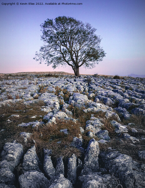 Solitary Sentinel of Malham Picture Board by Kevin Elias