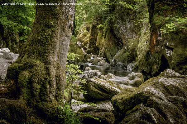 Fairy glen gorge Picture Board by Kevin Elias
