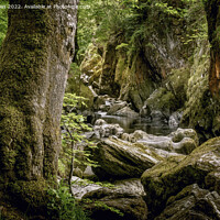 Buy canvas prints of Fairy glen gorge by Kevin Elias
