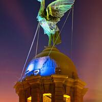 Buy canvas prints of Liverpool liverbird by Kevin Elias