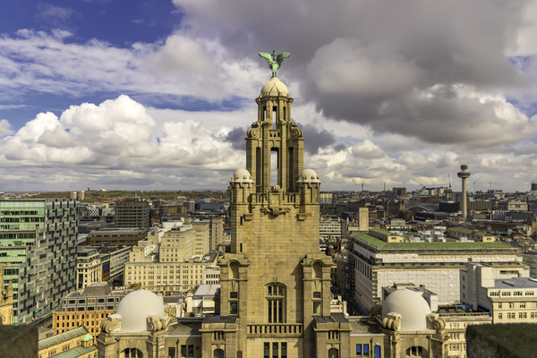 ROYAL LIVER BUILDING Picture Board by Kevin Elias