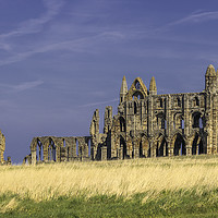 Buy canvas prints of Ancient Echoes of Whitby Abbey by Kevin Elias