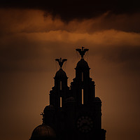 Buy canvas prints of STORM OVER LIVERBIRDS  by Kevin Elias