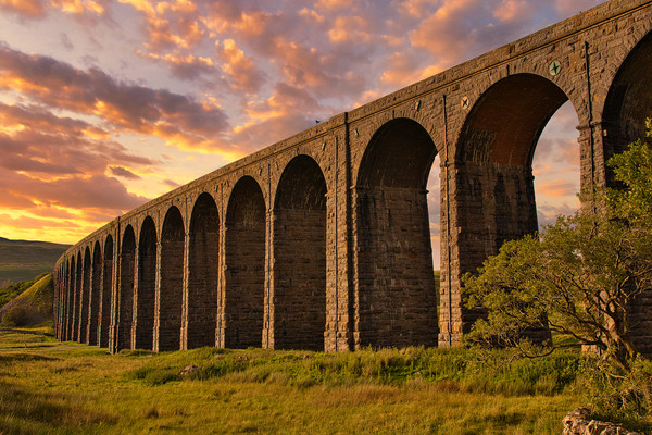 Ribblehead viaduct Picture Board by Kevin Elias