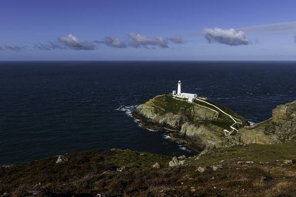 South stack lighthouse Picture Board by Kevin Elias