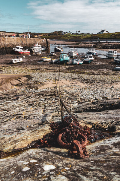 Cemaes harbor Picture Board by Kevin Elias