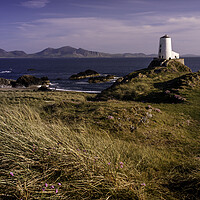 Buy canvas prints of Anglesey lighthouse by Kevin Elias
