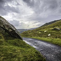 Buy canvas prints of To Snowdon by Kevin Elias