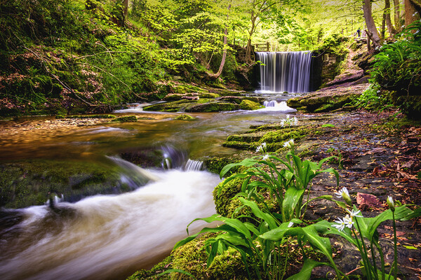 Nant Mill waterfall Picture Board by Kevin Elias