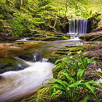Buy canvas prints of Nant Mill waterfall by Kevin Elias