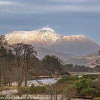 Buy canvas prints of  Majestic Ben Nevis  by AMANDA AINSLEY
