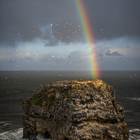 Buy canvas prints of Rainbow at Marsden Rock by AMANDA AINSLEY