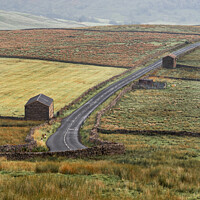 Buy canvas prints of Stone Barns of Buttertubs Pass by AMANDA AINSLEY