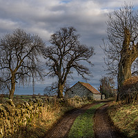 Buy canvas prints of Country Lane in Richmondshire by AMANDA AINSLEY