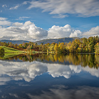 Buy canvas prints of Autumn at Tarn Hows  by AMANDA AINSLEY
