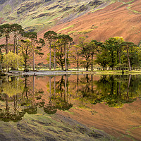 Buy canvas prints of Autumn Reflections on Buttermere by AMANDA AINSLEY