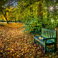 Buy canvas prints of Autumn Resting Place by AMANDA AINSLEY