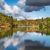 Buy canvas prints of Tarn Hows Reflections by AMANDA AINSLEY