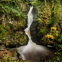 Buy canvas prints of Aira Force by AMANDA AINSLEY