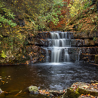Buy canvas prints of Summerhill Force by AMANDA AINSLEY