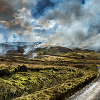 Buy canvas prints of Burning The Heather by AMANDA AINSLEY