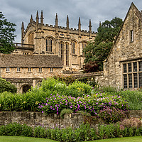 Buy canvas prints of Oxford Cathedral and Garden by AMANDA AINSLEY