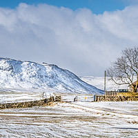 Buy canvas prints of Snow at Forest-in-Teesdale by AMANDA AINSLEY