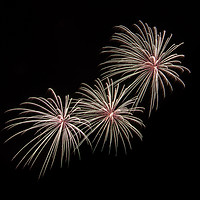 Buy canvas prints of Fireworks by AMANDA AINSLEY