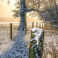 Buy canvas prints of Misty Winters Day by AMANDA AINSLEY