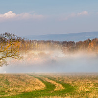 Buy canvas prints of Misty Morning in Teesdale by AMANDA AINSLEY