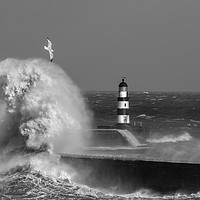 Buy canvas prints of Rough Seas at Seaham in County Durham by AMANDA AINSLEY