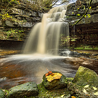 Buy canvas prints of Summerhill Force  by AMANDA AINSLEY
