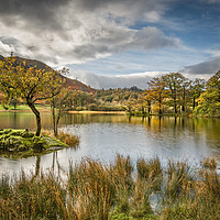 Buy canvas prints of Autumn at Rydal Water by AMANDA AINSLEY
