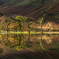 Buy canvas prints of Sunrise at Buttermere by AMANDA AINSLEY