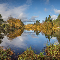 Buy canvas prints of Lartington Low Pond in Autumn Splendour by AMANDA AINSLEY
